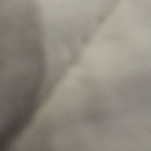 Meet your Posher, Terry